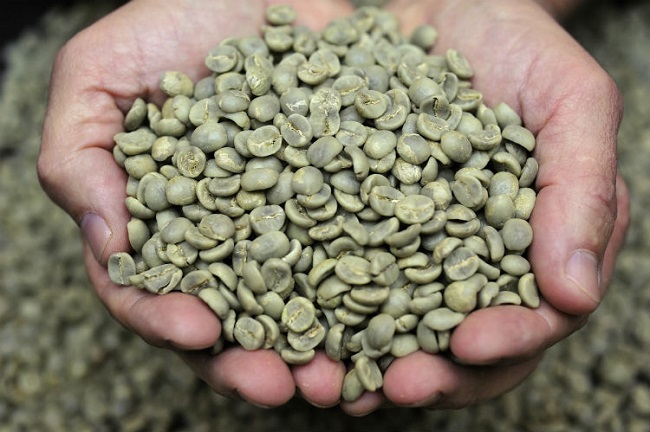 Green Coffee Extract